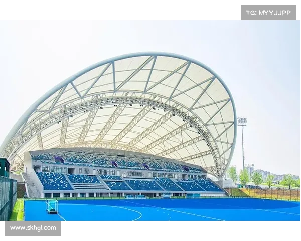 里约奥运曲棍球场馆转型为社区体育中心的奥运遗产研究与实践探索